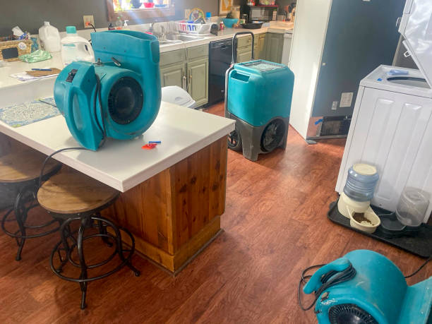 Best Water damage restoration near me  in Ypsilanti, MI