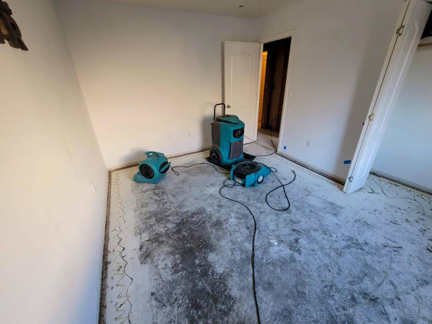 Best Residential water damage restoration  in Ypsilanti, MI