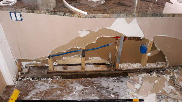 Best 24-hour water damage restoration  in Ypsilanti, MI