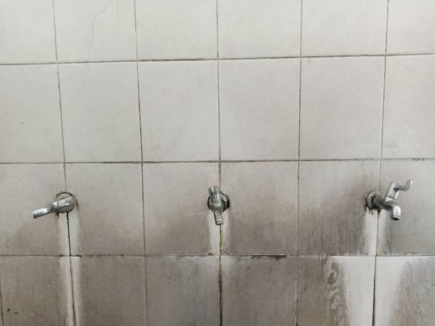 Best Local water damage restoration  in Ypsilanti, MI