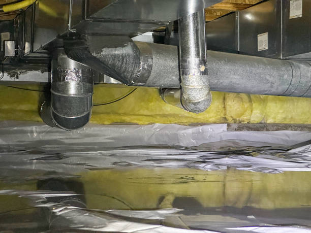 Best Flood damage cleanup  in Ypsilanti, MI